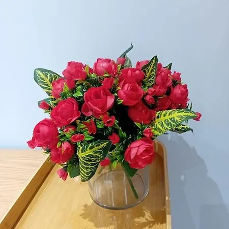 Apartmán Road Blloku Area